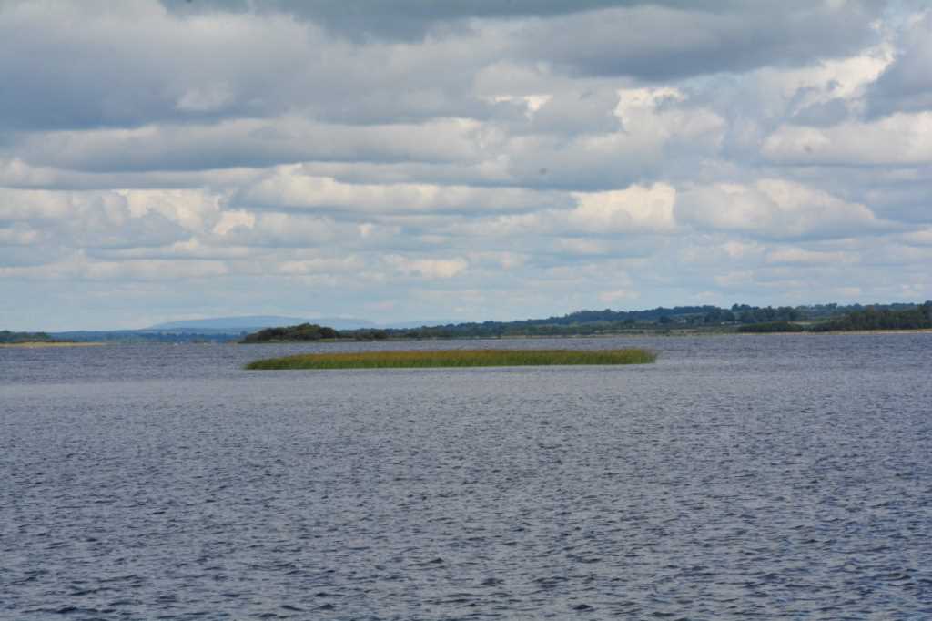 DSC_5995Mittel_.JPG